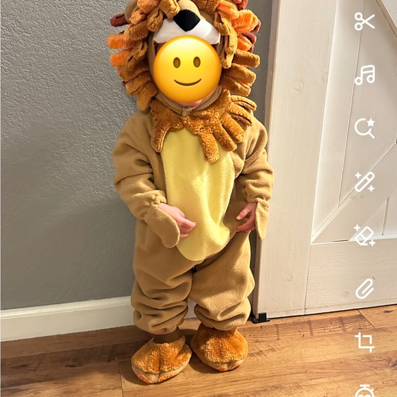 12-18 Month Lion Costume - Picture 2 of 5